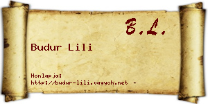 Budur Lili névjegykártya